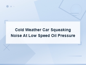 Cold Weather Car Squeaking Noise at Low Speed Oil Pressure